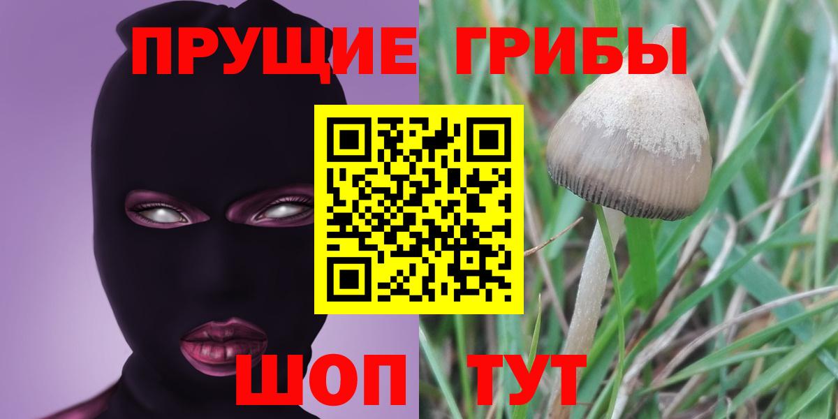 Псилоцибиновые грибы мухоморы Ялуторовск