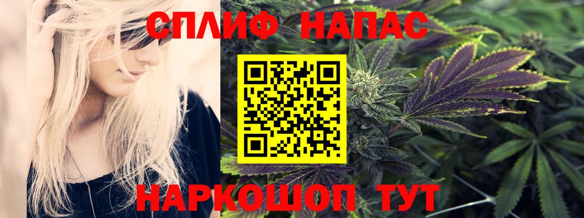 Бошки Шишки сатива Ялуторовск